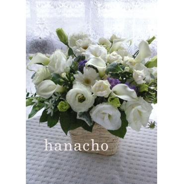 hanachoオリジナル 白系００５