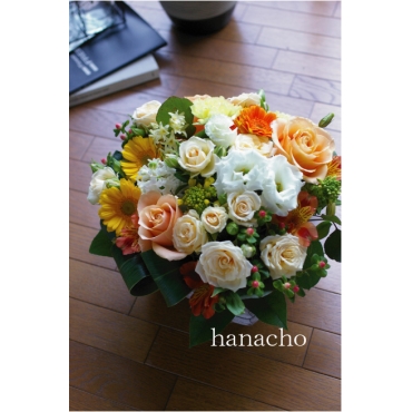 [hanacho] オリジナル黄・オレンジ系004