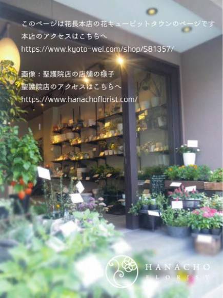 「花長フローリスト」　（京都府京都市左京区）の花屋店舗写真1